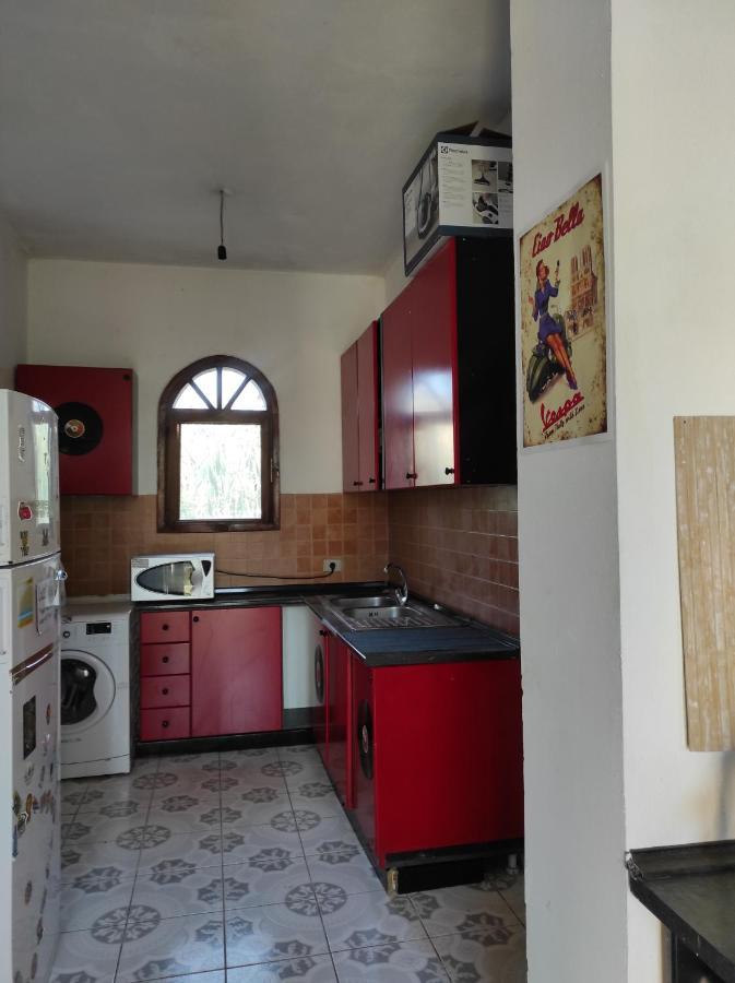 Pinegroove Hostel Vlora Exteriör bild