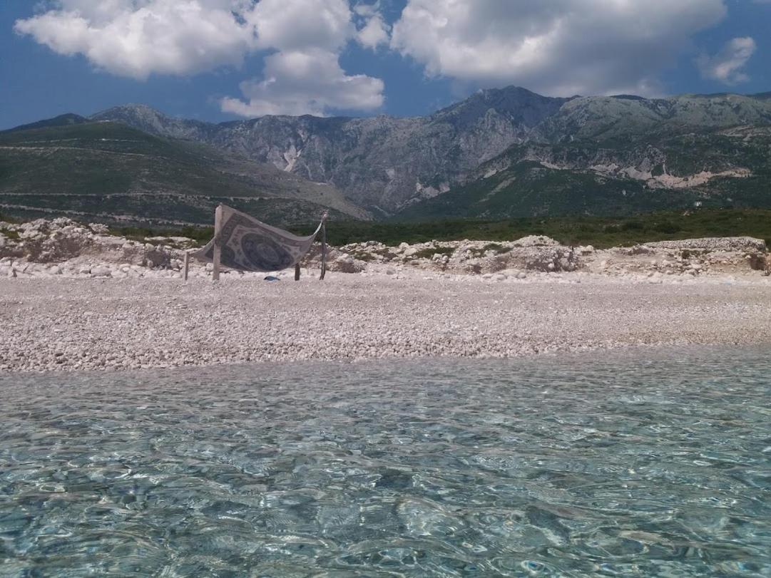 Pinegroove Hostel Vlora Exteriör bild